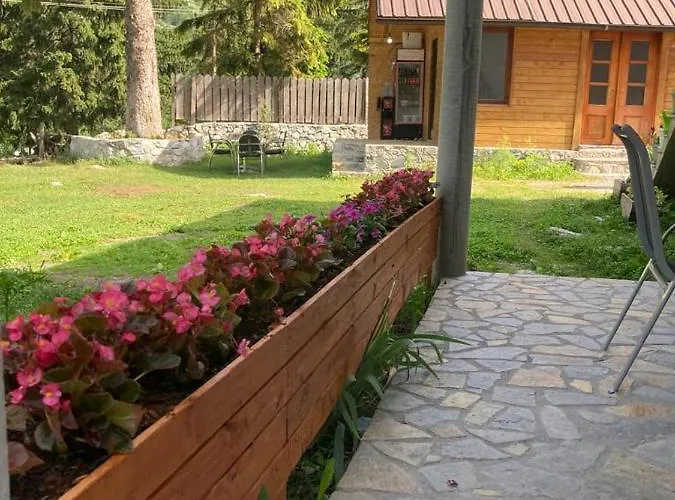 Bujtina Arturi 3*