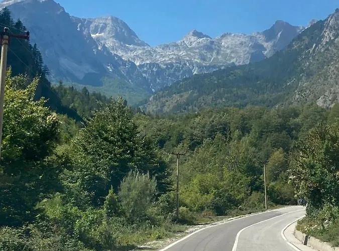 게스트하우스 Bujtina Arturi 3*