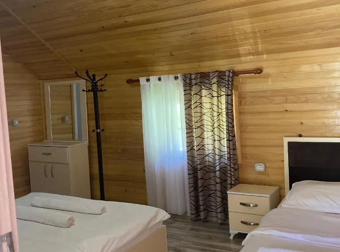 Guest house Bujtina Arturi 3*