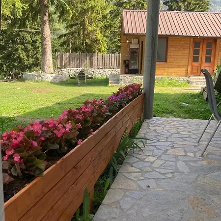 Bujtina Arturi 3*