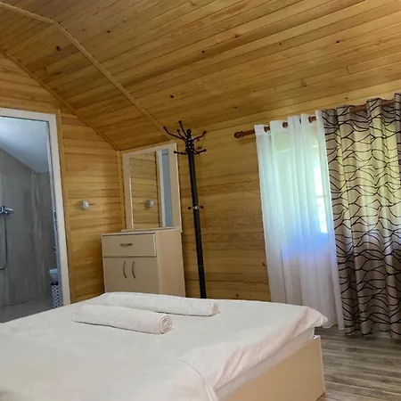 Bujtina Arturi 3*