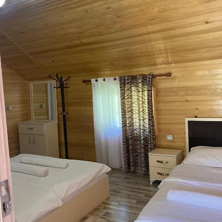 招待所 Bujtina Arturi 3*