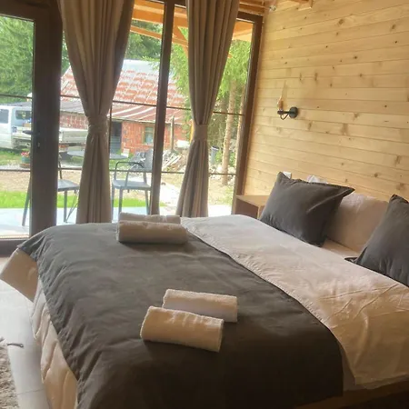 Bujtina Arturi 3*
