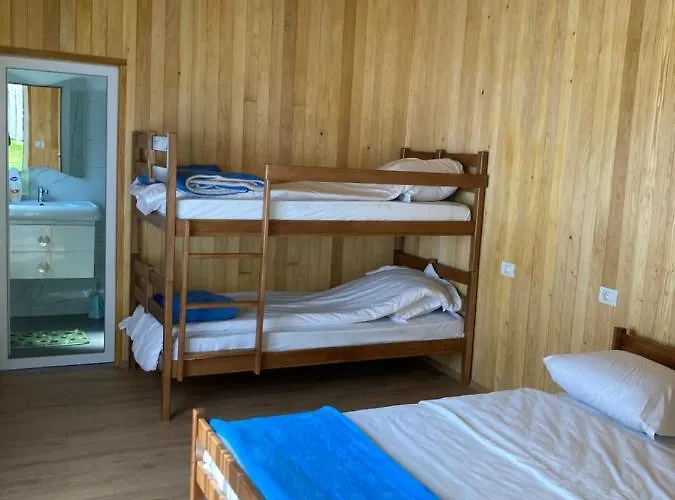 Maison d'hôtes Bujtina Arturi 3*